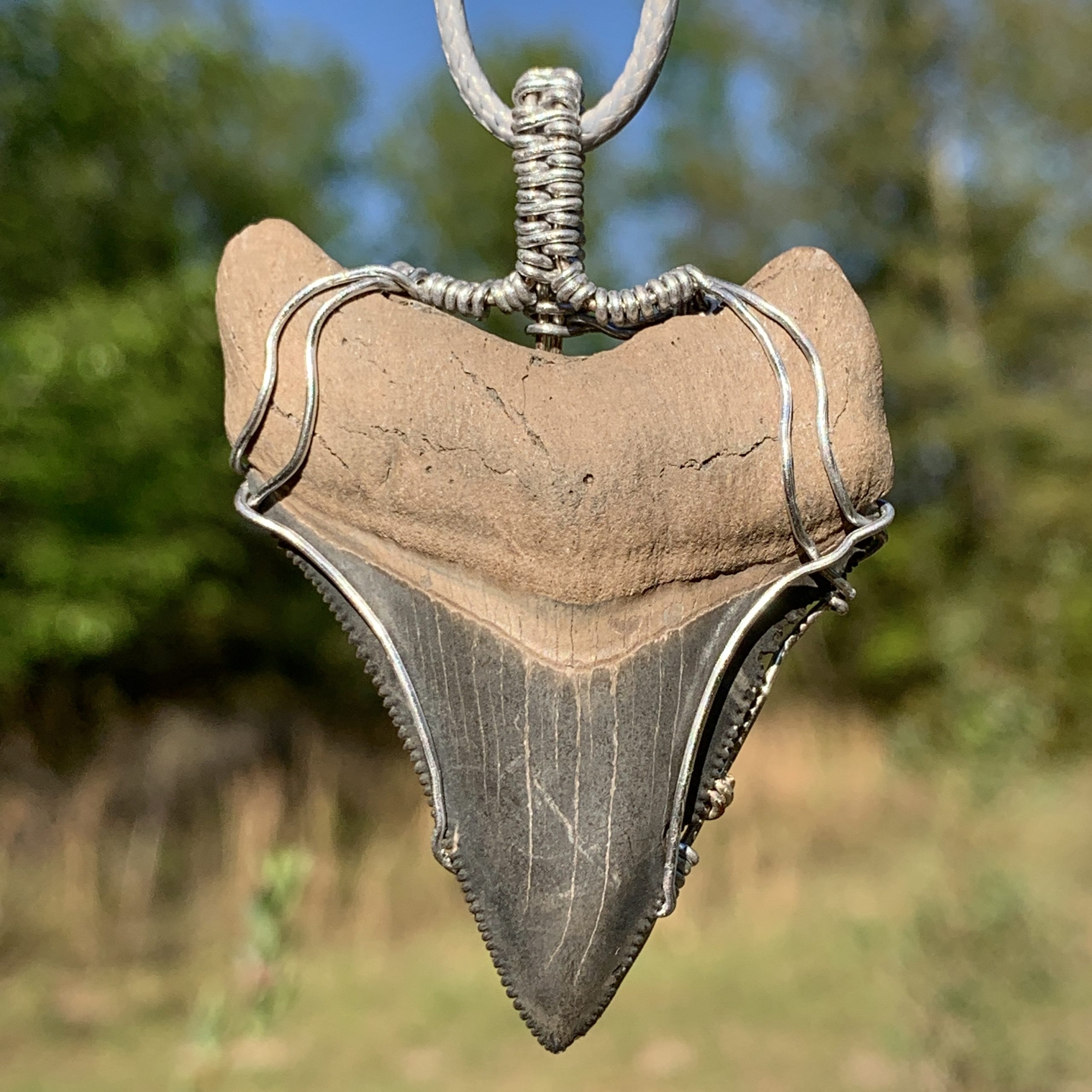 Megalodon Shark Tooth Necklace | Miocene - PaleoCris