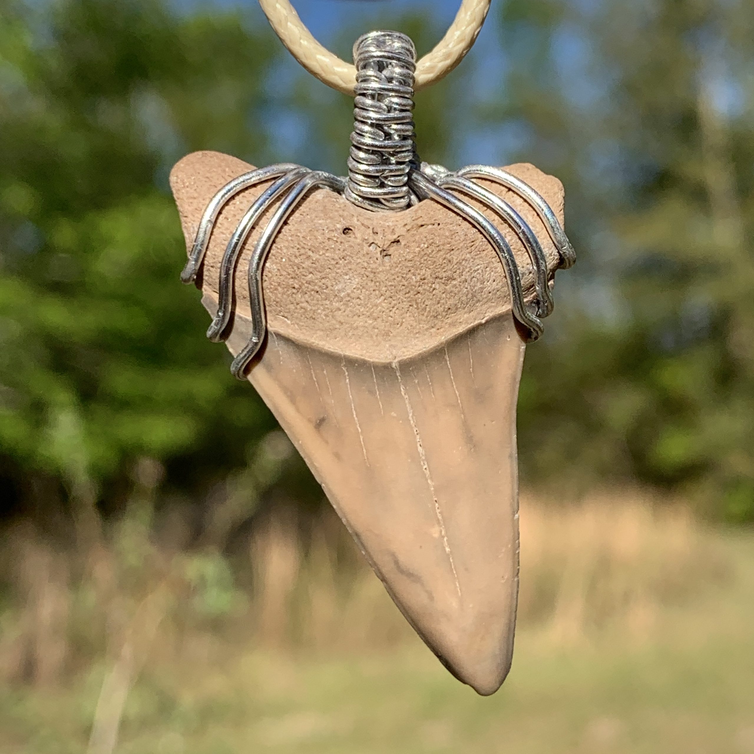 Mako Shark Tooth Necklace | Miocene - PaleoCris