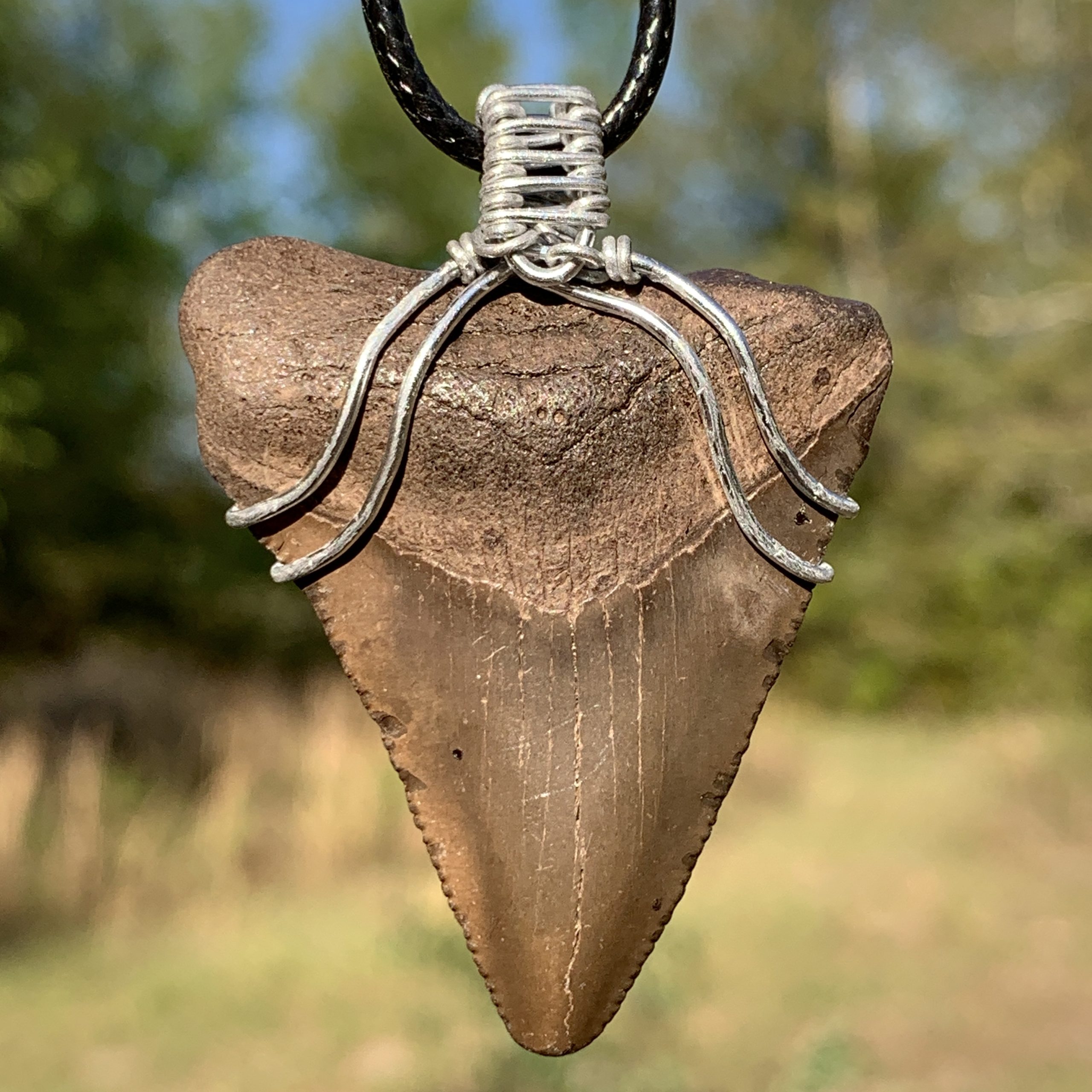 Megalodon Shark Tooth Necklace | Miocene - PaleoCris