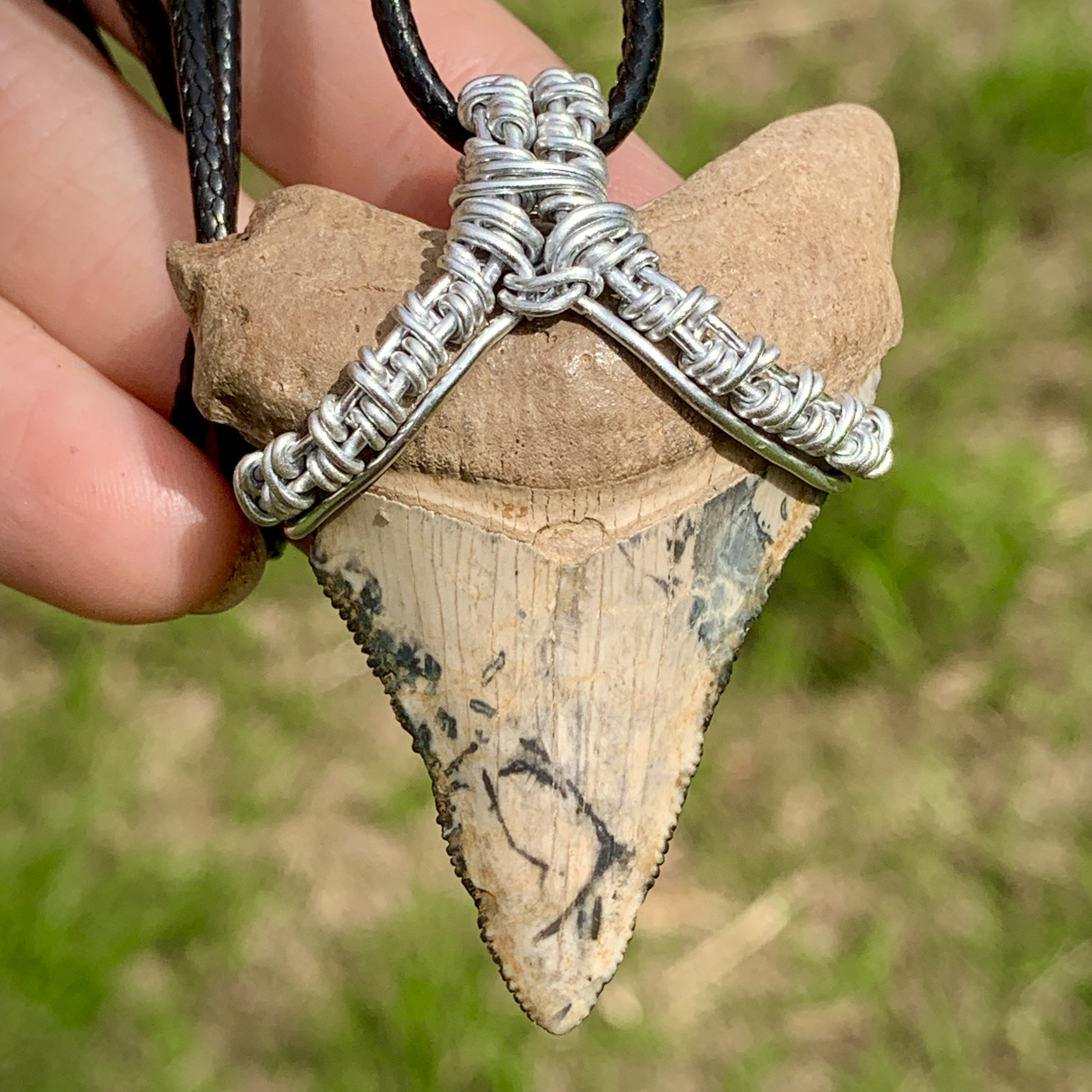 Megalodon Shark Tooth Necklace - RARE Color | Miocene - PaleoCris